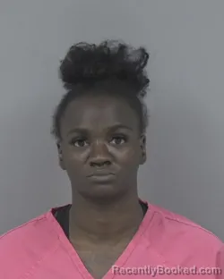 Mugshot of NIKKI NICHOLE JAMES booked in Johnston County, North Carolina on March 23, 2026