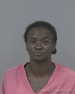 Mugshot of Nikki Nichole James booked in Johnston County, North Carolina on August 9, 2026