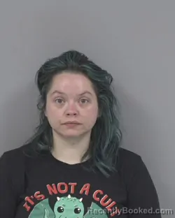 Mugshot of MICHELLE LEIGH KOLLAR booked in Johnston County, North Carolina on May 2, 2026