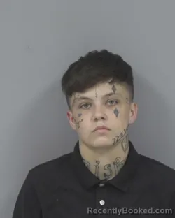 Mugshot of ZOE GRACE KEARNEY booked in Johnston County, North Carolina on March 19, 2026