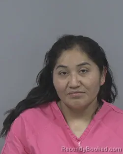 Mugshot of ALICIA CORTES LUIS booked in Johnston County, North Carolina on May 7, 2026