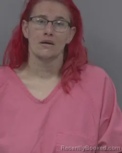 Mugshot of STEFANIE CAROL LEVAN