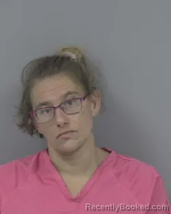 Mugshot of Stefanie Carol Levan booked in Johnston County, North Carolina on October 6, 2026