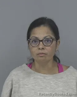Mugshot of Zoila Mireya Lambert booked in Johnston County, North Carolina on September 25, 2026