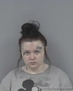 Mugshot of ASHLEIGH LAMBERT MCLAMB booked in Johnston County, North Carolina on June 28, 2026