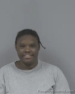 Mugshot of DEANNA SIMOINE MCNEILL booked in Johnston County, North Carolina on July 1, 2026