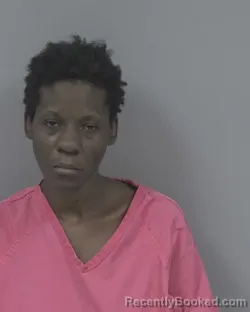 Mugshot of GWENDOLYN LEE MCCAIN booked in Johnston County, North Carolina on March 24, 2026