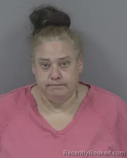 Mugshot of Lisa Christina Mcmillan booked in Johnston County, North Carolina on August 20, 2026