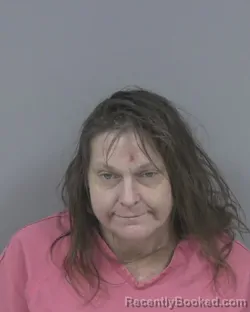 Mugshot of Melanie Tucker Mcneely booked in Johnston County, North Carolina on August 11, 2026
