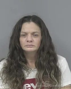 Mugshot of AMBER CRYSTAL NIMS booked in Johnston County, North Carolina on June 25, 2026