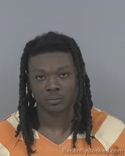 Mugshot of CARJAMEL DASHAUN NELSON booked in Johnston County, North Carolina on June 4, 2026