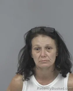 Mugshot of CARRIE NICOLE NORRIS booked in Johnston County, North Carolina on July 2, 2026