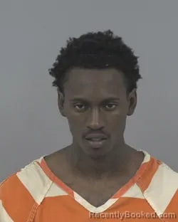 Booking photo from Johnston County, North Carolina