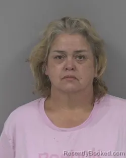 Mugshot of FRANCES BOWEN PILKINGTON booked in Johnston County, North Carolina on June 20, 2026