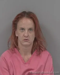 Mugshot of Jessica Lynn Palmer booked in Johnston County, North Carolina on August 17, 2026