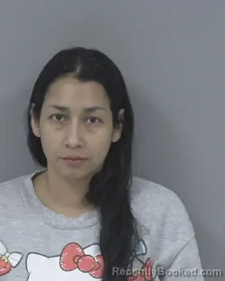 Mugshot of LEIDY JOHANNA MONA POTES booked in Johnston County, North Carolina on May 9, 2026