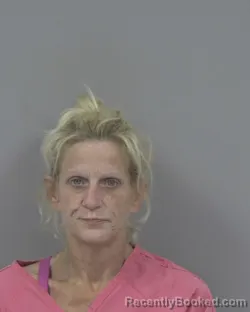 Mugshot of SANDRA MITCHELL PITTMAN booked in Johnston County, North Carolina on June 14, 2026