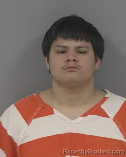 Mugshot of FABIAN PATRICK RAMIREZ