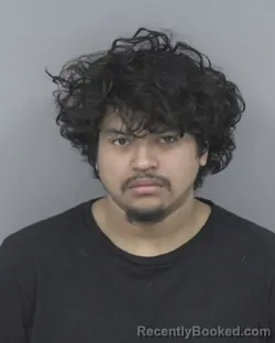 Mugshot of LUIS ANTONIO RUIZ