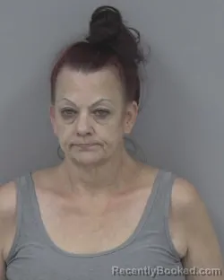 Mugshot of Michele Lee Rankins booked in Johnston County, North Carolina on August 10, 2026