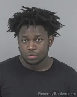 Mugshot of AMADU J SAKO