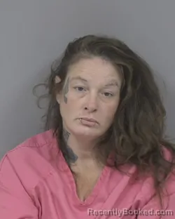 Mugshot of AMY LOUISE SCHRINER