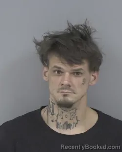 Booking photo from Johnston County, North Carolina