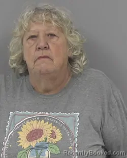 Mugshot of CATHARINA MARY SCHMIDT booked in Johnston County, North Carolina on June 23, 2026