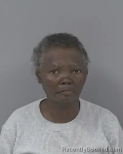 Mugshot of DIANE SNEAD