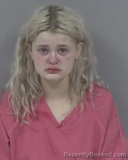 Mugshot of Hannah Isabel Stott booked in Johnston County, North Carolina on August 9, 2026