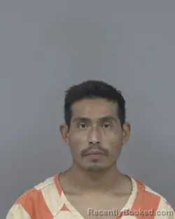 Mugshot of MIGUEL ERIVAN LUIS SARGENTO booked in Johnston County, North Carolina on May 8, 2026