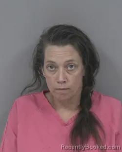 Mugshot of RENDY ELIZABETH STANLEY booked in Johnston County, North Carolina on March 13, 2026