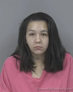 Mugshot of SONIA LEEANN SALAS booked in Johnston County, North Carolina on July 12, 2026