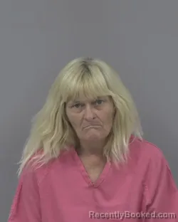 Mugshot of THERESA ELIZABETH SANDERSON booked in Johnston County, North Carolina on June 29, 2026