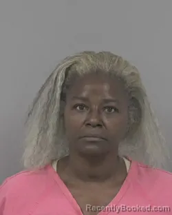 Mugshot of Brenda Deloris Torchia booked in Johnston County, North Carolina on October 19, 2026