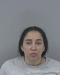 Mugshot of KATHERINE MICHELLE TORRESSANTOS booked in Johnston County, North Carolina on June 3, 2026