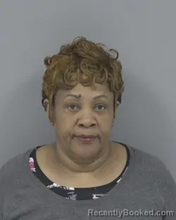 Mugshot of MARILYN MELISA TOON booked in Johnston County, North Carolina on March 19, 2026