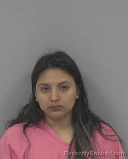 Mugshot of SEBASTIANA TZOC-CALEL booked in Johnston County, North Carolina on March 27, 2026