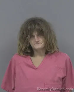 Mugshot of Ashley Carol Wethington booked in Johnston County, North Carolina on August 28, 2026