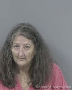 Mugshot of Belinda Lee Willis booked in Johnston County, North Carolina on October 9, 2026