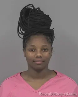 Mugshot of Diamond Jaquana Williams booked in Johnston County, North Carolina on July 25, 2026