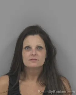 Mugshot of KRISTY D WOOD booked in Johnston County, North Carolina on March 28, 2026