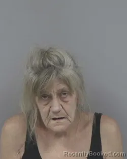 Mugshot of MELODY GWEN WOMACK booked in Johnston County, North Carolina on July 2, 2026