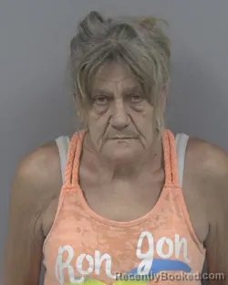 Mugshot of Melody Gwen Womack booked in Johnston County, North Carolina on August 31, 2026
