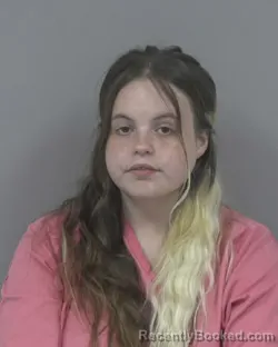 Mugshot of Megan Nicole Williams