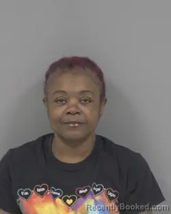 Mugshot of SHANNON YVONNE WILDER booked in Johnston County, North Carolina on March 28, 2026