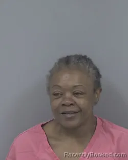 Mugshot of SHANNON YVONNE WILDER booked in Johnston County, North Carolina on July 6, 2026