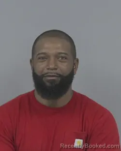 Mugshot of WAYNE WILKINS