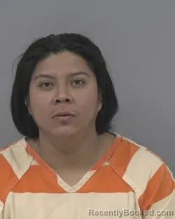 Booking photo from Johnston County, North Carolina