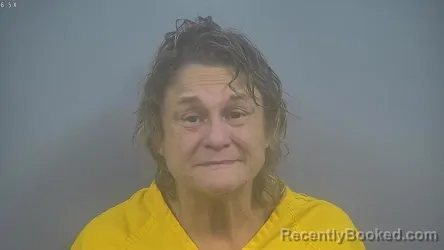 Mugshot of DELLA DEE ANN EINSTANDIG booked in Sullivan County, Indiana on July 9, 2026